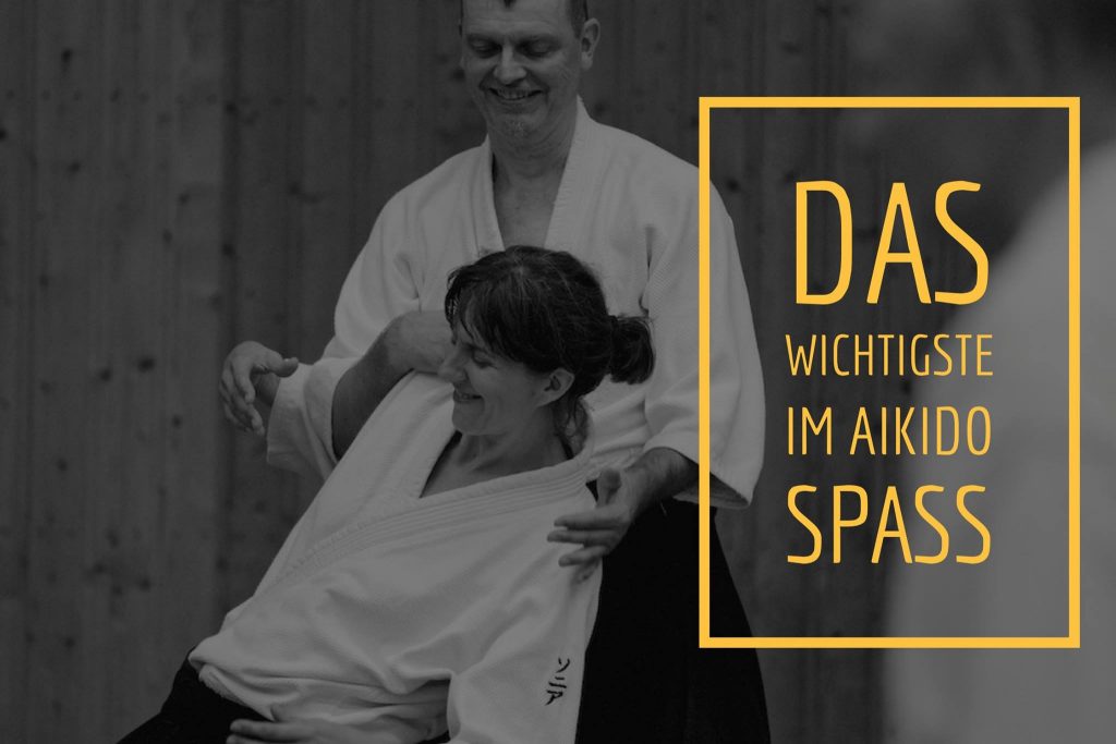 Aikido Hannover Kyushindo Verein, Budo, Kampfkunst
